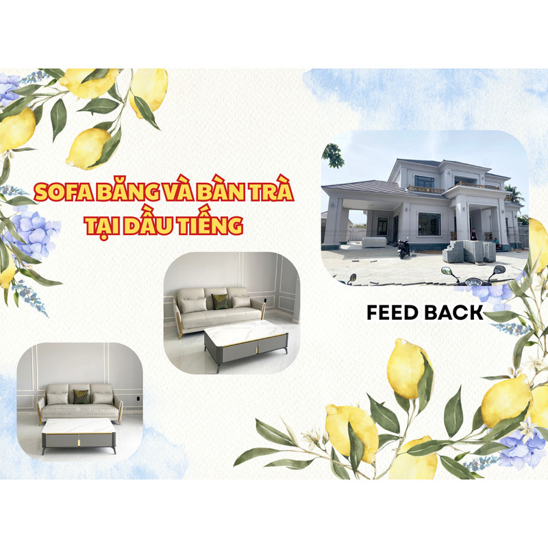 FEEDBACK | MODERN TAPE SOFA & TEA TABLE IN DAU TIENG